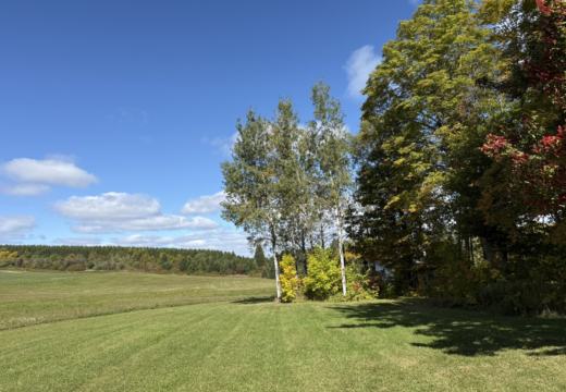 Photograph from Brandin's property in northern Maine
