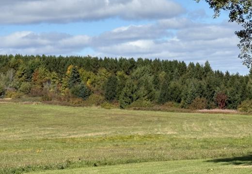 Photograph from Brandin's property in northern Maine