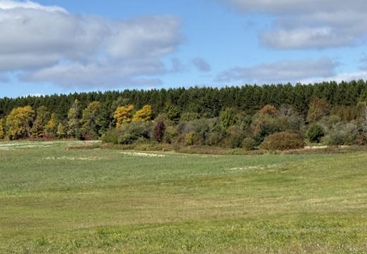Photograph from Brandin's property in northern Maine