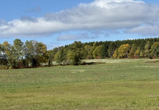 Photograph from Brandin's property in northern Maine