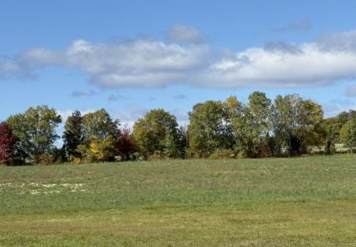 Photograph from Brandin's property in northern Maine