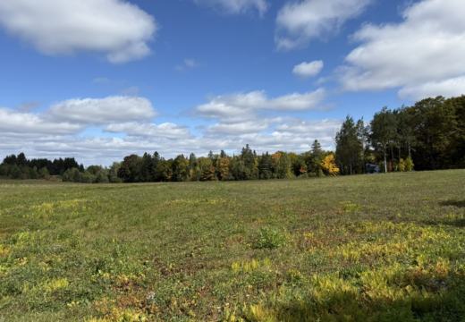 Photograph from Brandin's property in northern Maine