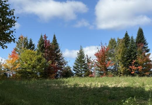 Photograph from Brandin's property in northern Maine