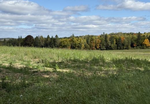 Photograph from Brandin's property in northern Maine