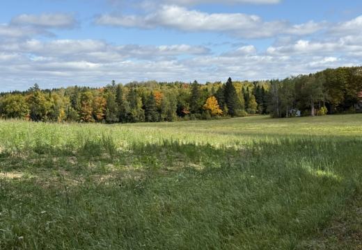 Photograph from Brandin's property in northern Maine