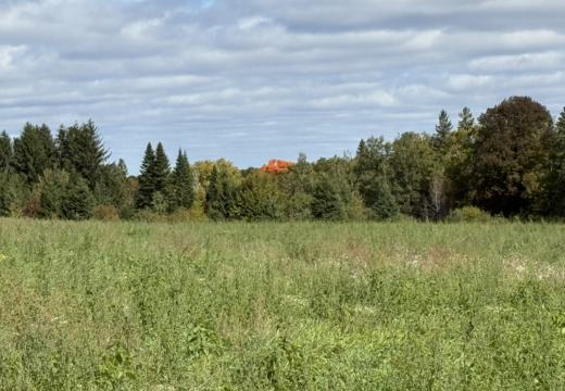 Photograph from Brandin's property in northern Maine