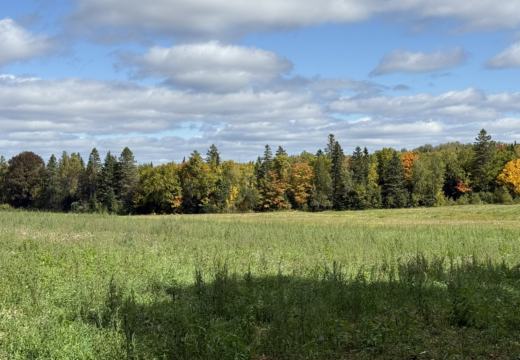 Photograph from Brandin's property in northern Maine