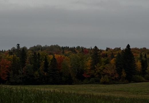 Photograph from Brandin's property in northern Maine