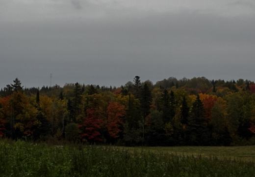 Photograph from Brandin's property in northern Maine