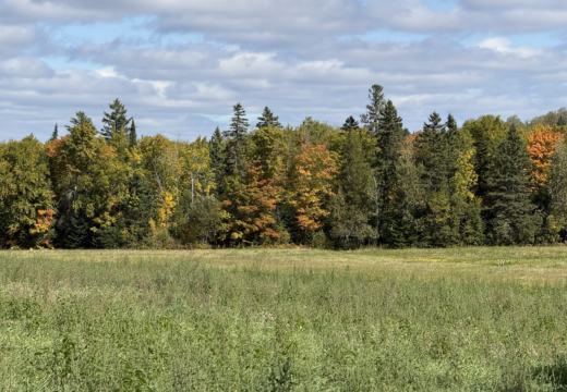 Photograph from Brandin's property in northern Maine