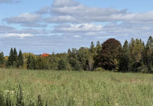 Photograph from Brandin's property in northern Maine