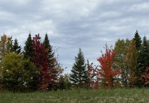 Photograph from Brandin's property in northern Maine