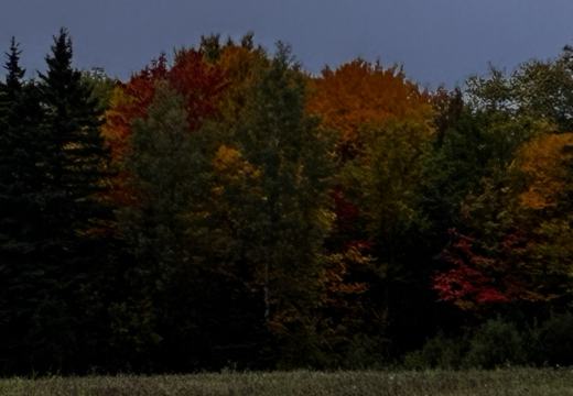 Photograph from Brandin's property in northern Maine