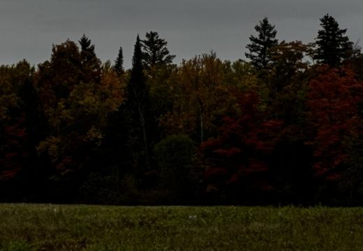 Photograph from Brandin's property in northern Maine