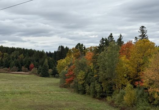 Photograph from Brandin's property in northern Maine