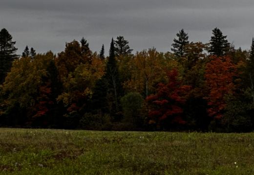 Photograph from Brandin's property in northern Maine