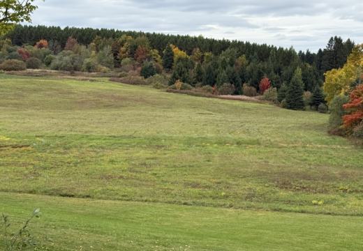 Photograph from Brandin's property in northern Maine