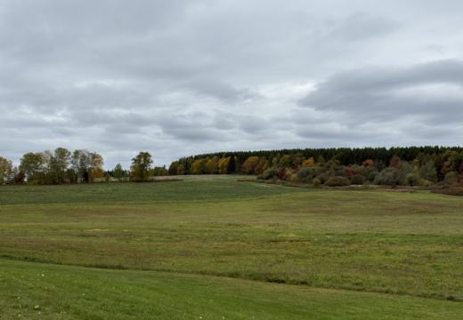 Photograph from Brandin's property in northern Maine