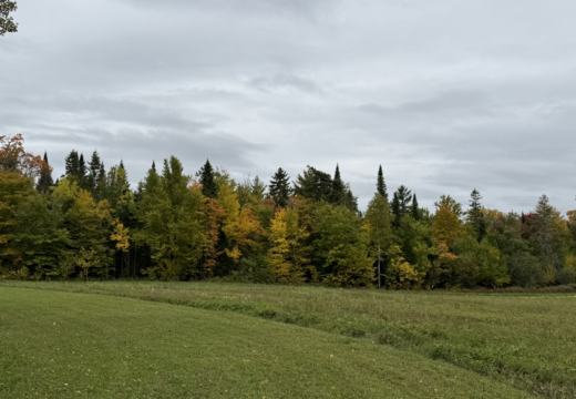 Photograph from Brandin's property in northern Maine