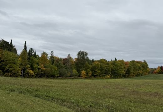 Photograph from Brandin's property in northern Maine