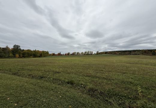 Photograph from Brandin's property in northern Maine