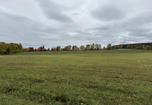 Photograph from Brandin's property in northern Maine