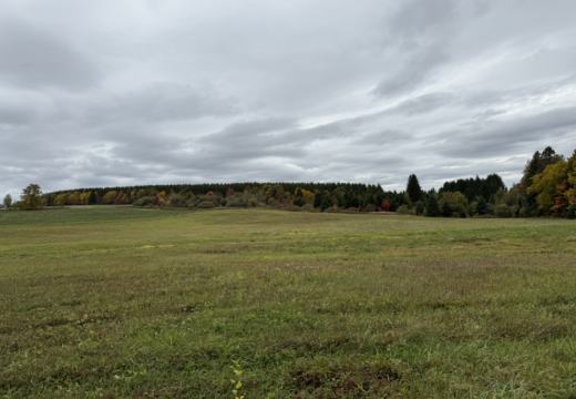 Photograph from Brandin's property in northern Maine