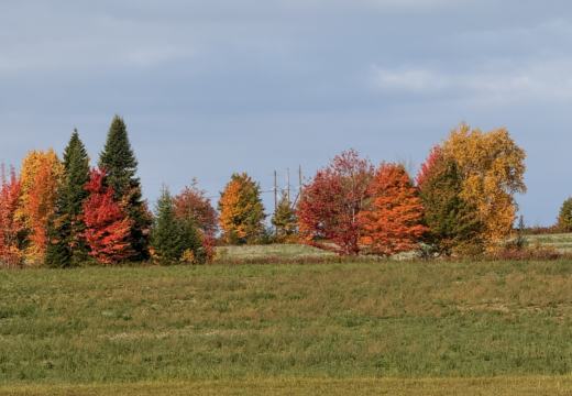Photograph from Brandin's property in northern Maine