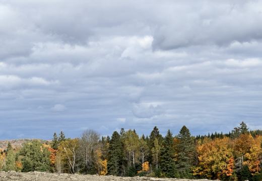Photograph from Brandin's property in northern Maine