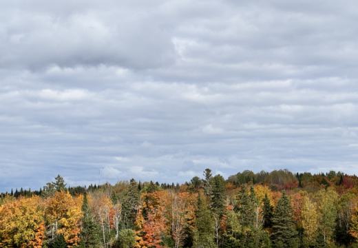 Photograph from Brandin's property in northern Maine